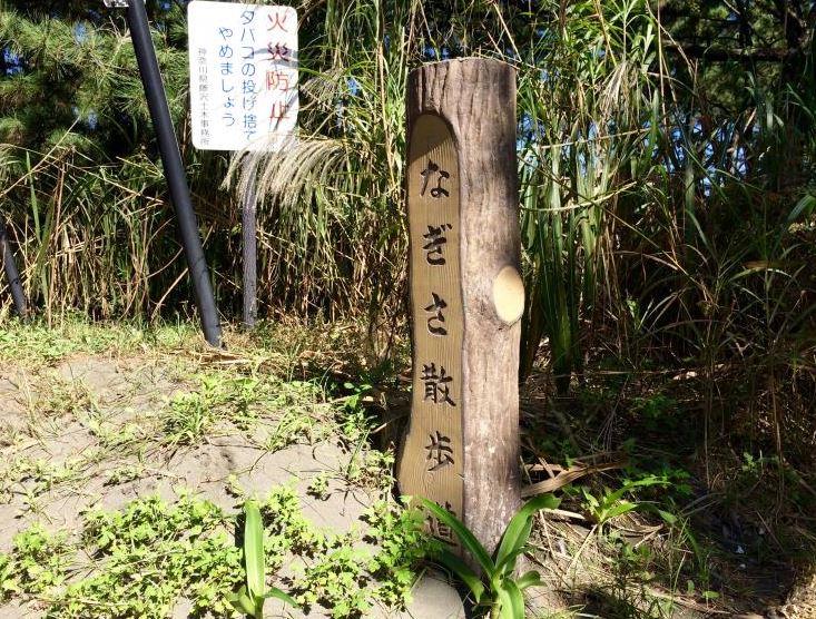 公園　茅ヶ崎海岸しおさいの森（公園）まで1001m