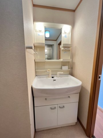 洗面設備　画像は別号室。ご参考にどうぞ