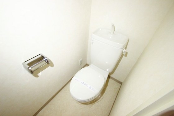 トイレ　※別号室の写真です