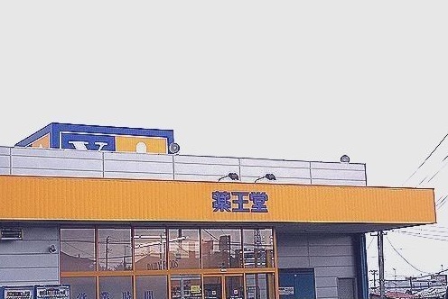 ドラックストア　薬王堂　長根店（ドラッグストア）まで300m