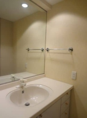 洗面設備　※別部屋の参考写真です。