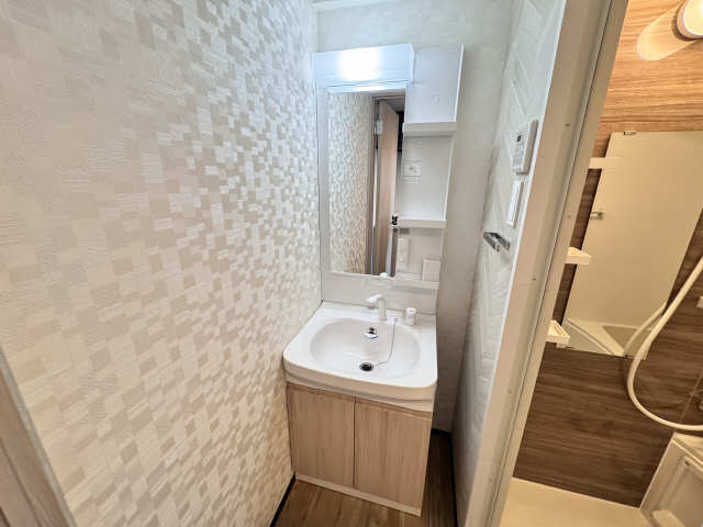 洗面設備　他号室のためイメージ写真となります。