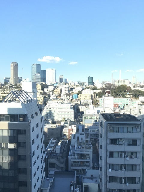 その他　洋室からの眺望（北東）