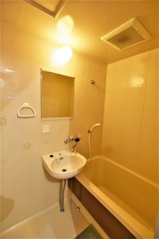 バス・シャワールーム　同物件、別号室の写真です。