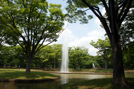 公園　代々木公園（公園）まで534m