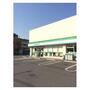 コンビニ　ファミリーマート 奥戸七丁目店（コンビニ）まで495m