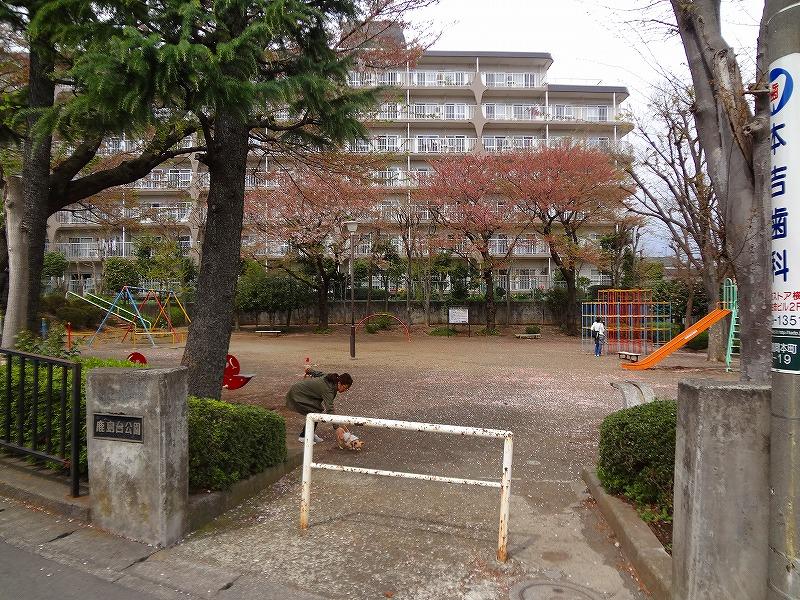 公園　鹿島台公園（公園）まで200m