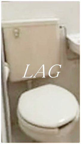 トイレ　トイレです。