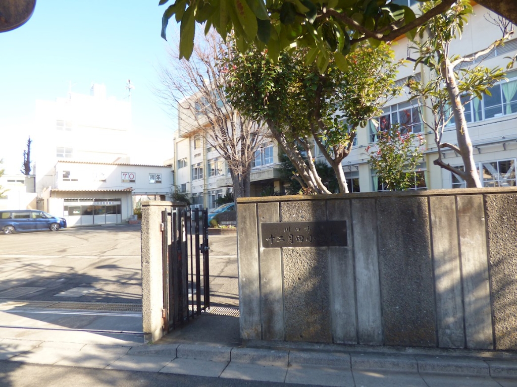 小学校　川口市立十二月田小学校（小学校）まで493m