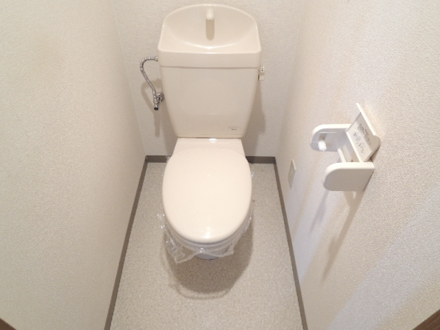ブルーコートのトイレ写真