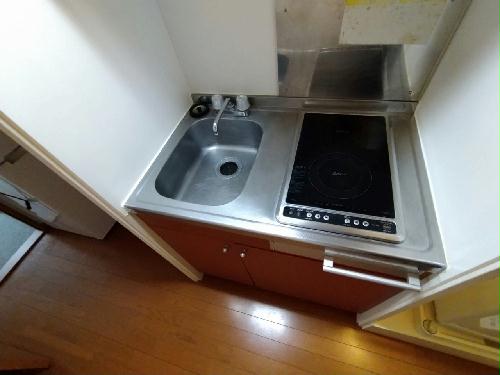 レオパレスグッド フォーチュンのキッチン写真