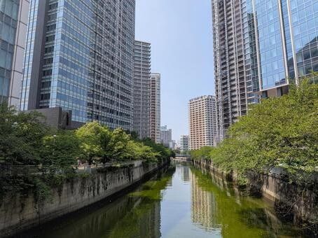 その他　目黒川の新緑と五反田のタワーマンション（その他）まで770m
