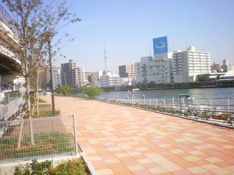 公園　中洲公園（公園）まで324m