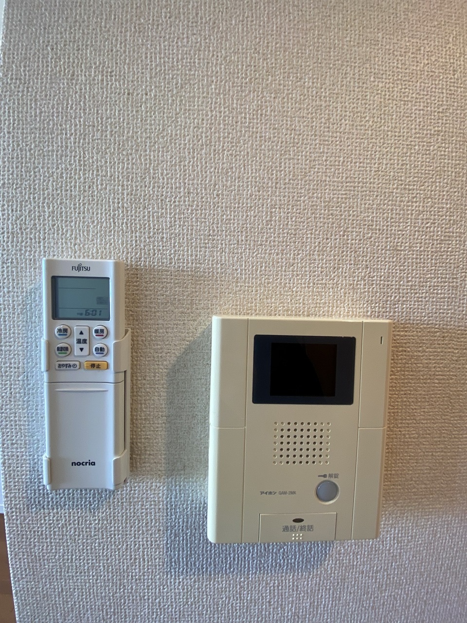 オリーブのその他写真