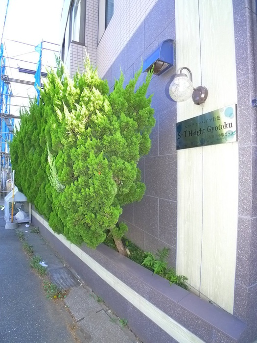 エスティーハイツ行徳の外観写真
