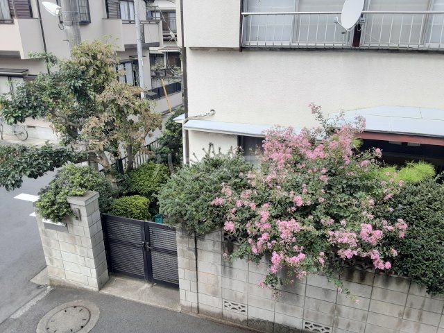 眺望