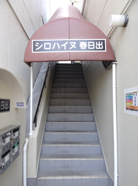 阪神電鉄阪神なんば線 千鳥橋駅 徒歩13分 4階建 築41年の外観写真