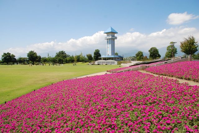 【メゾン青柳の公園】