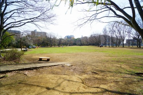 【パレステージ茅ヶ崎IIの公園】