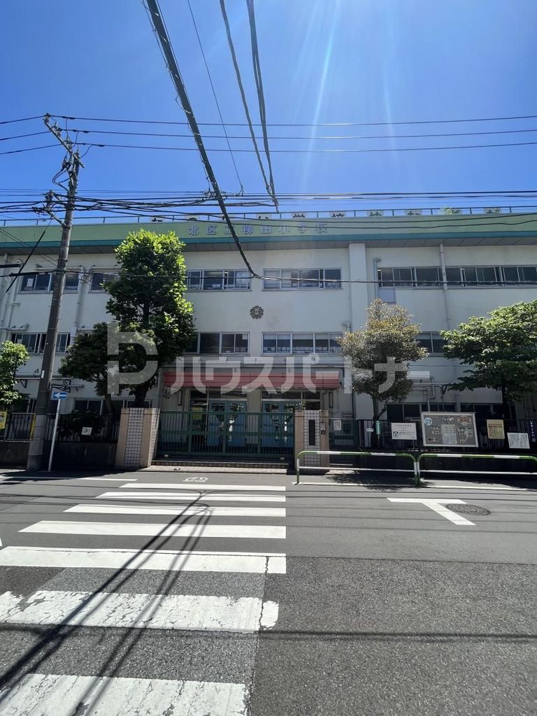 小学校　北区立柳田小学校（小学校）まで570m