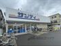 スーパー　サンディ東大阪近江堂店（スーパー）まで1000m