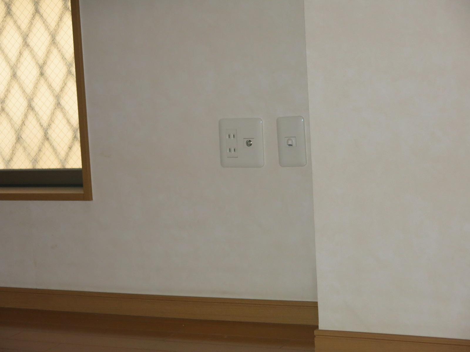 シュパーブサクラのその他写真