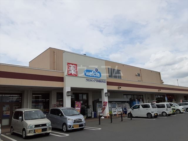 ドラックストア　ウエルシア茨城総和店（ドラッグストア）まで805m