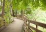 公園　読書の森公園（公園）まで739m