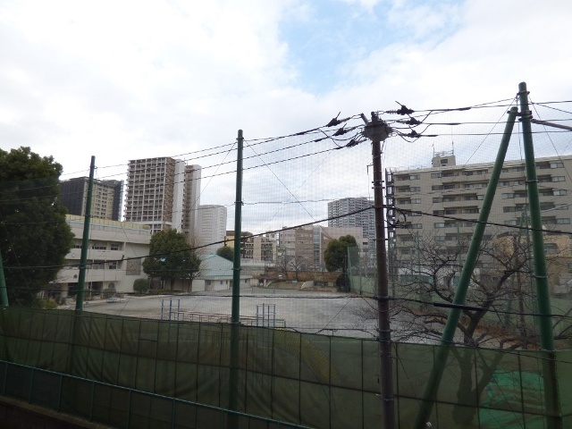 小学校　横浜市立神奈川小学校（小学校）まで522m