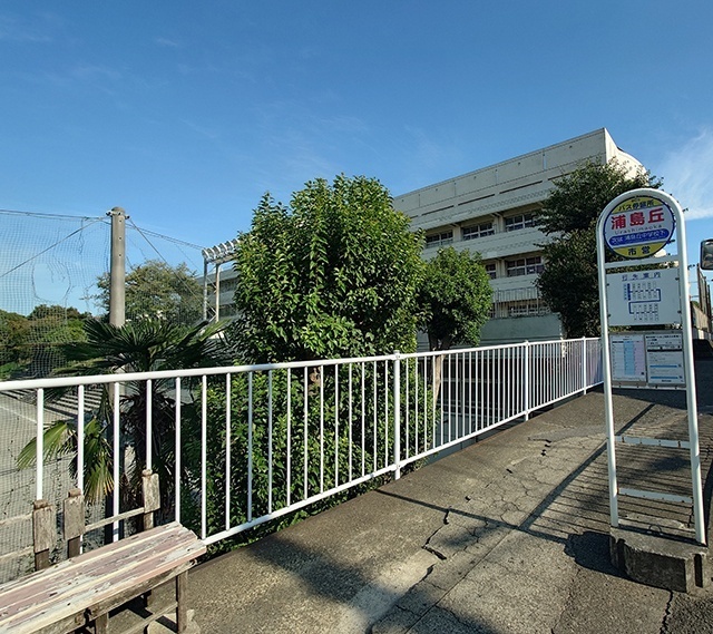 中学校　横浜市立浦島丘中学校（中学校）まで1339m