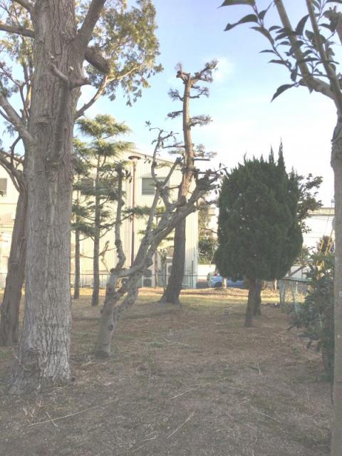 【明石市大久保町福田のアパートの公園】