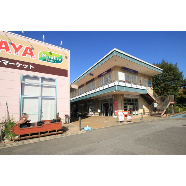 ショッピングセンター　並木ショッピングセンター（ショッピングセンター）まで2240m