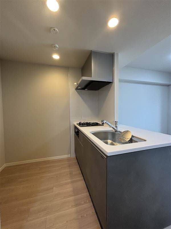 その他部屋・スペース　システムキッチンにはガスコンロが完備されており、忙しい日常…