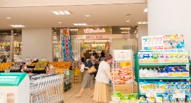 スーパー　スーパー文化堂月島店（スーパー）まで337m