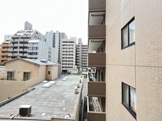 眺望　※別部屋の写真です