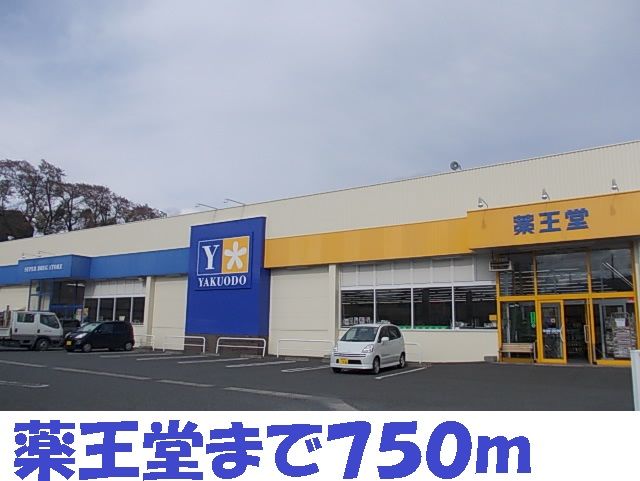 ドラックストア　薬王堂大船渡店（ドラッグストア）まで750m