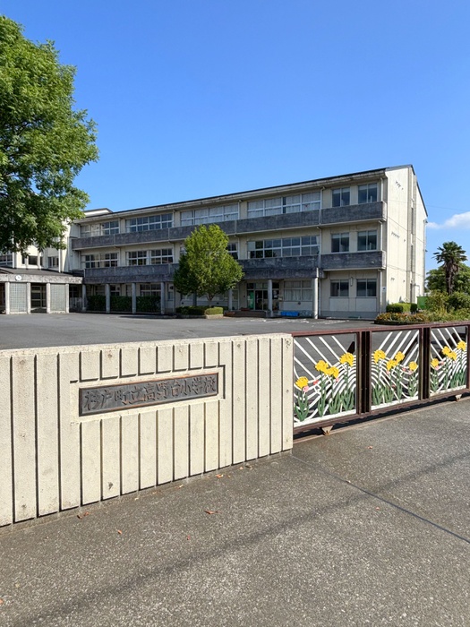 小学校　高野台小学校（小学校）まで220m