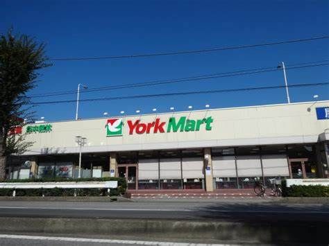 スーパー　ヨークマート柳崎店（スーパー）まで310m