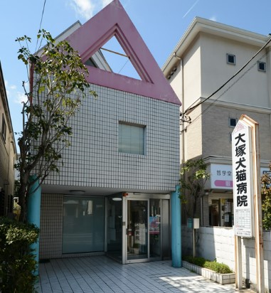その他　大塚犬猫病院（その他）まで559m