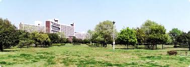公園　都立中川公園A地区（公園）まで663m