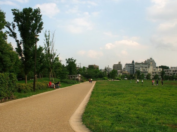 公園　杉並区立桃井原っぱ公園（公園）まで588m