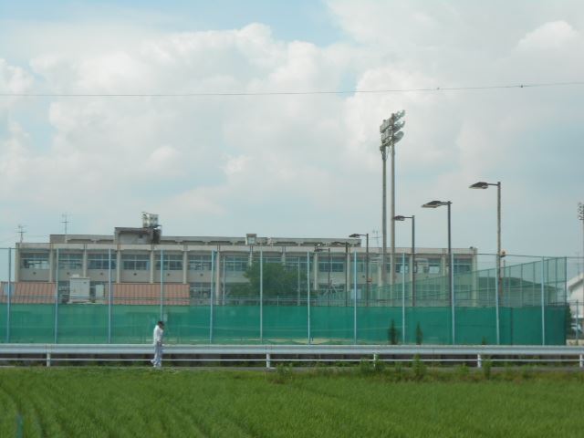 小学校　市立白木小学校（小学校）まで1500m