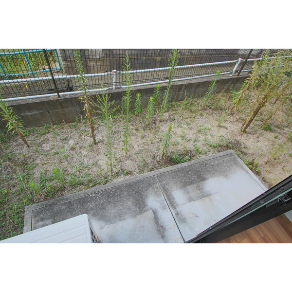 庭　同じ建物の別なお部屋