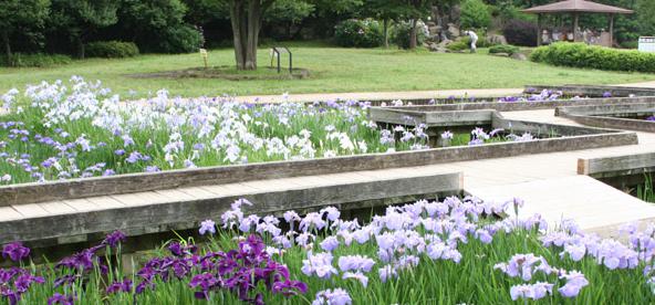 公園　山崎公園（公園）まで874m