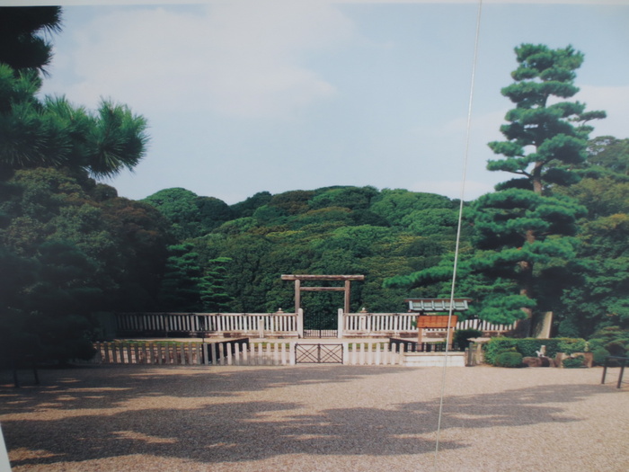 その他　仁徳天皇陵（その他）まで843m