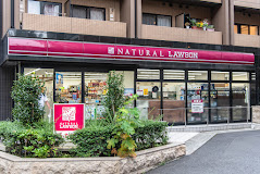 コンビニ　ナチュラルローソン NL南麻布二丁目店（コンビニ）まで271m