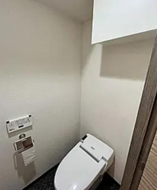 ルリオン神楽坂のトイレ写真