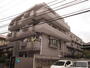 アンダルシア市川 4階 築37年9ヶ月の賃貸物件
