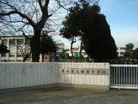 中学校