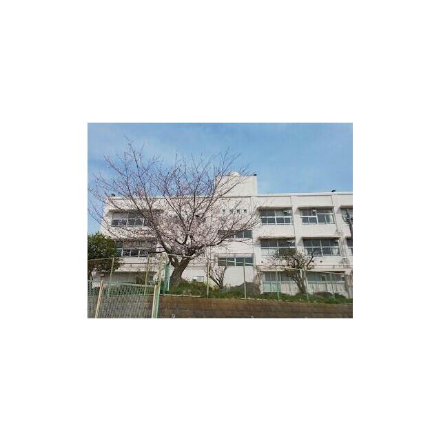 【横浜市泉区緑園のマンションの小学校】